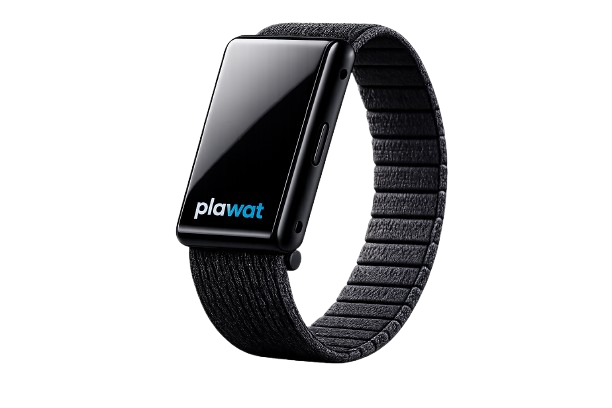 plawat band